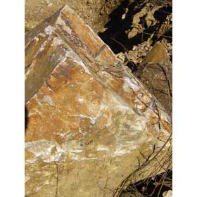 Grain d'une roche litée