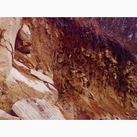 Découvrir la bonne pierre