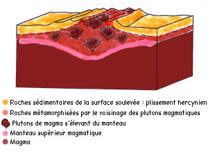 Plissement hercynien