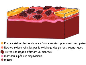 Plissement hercynien