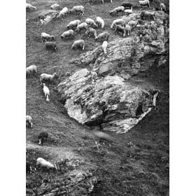 Pierre la plus proche