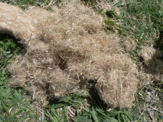 Chanvre de la FRCIVAM