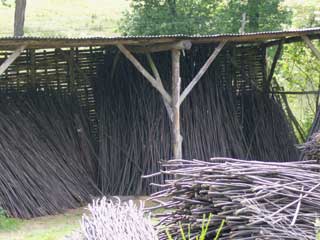 gaulis de chataigner