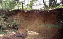 Echizadour, Saint-Méard