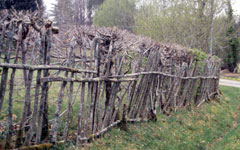 La-Corive-Neuvic-Entier