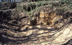 Puy de Vaux, Châteauneuf-la-Forêt