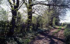 Venouhant-Chateauneuf-la-Foret