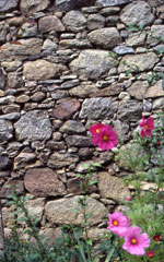 Lacour, Roziers-Saint-Georges