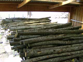 perches de châtaignier